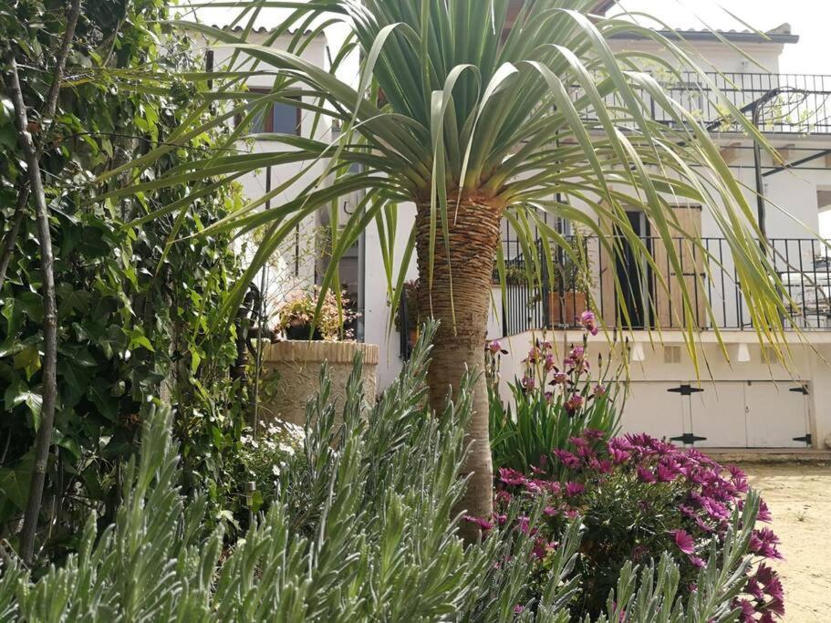 Vila Casa La Higuera Chulilla Exteriér fotografie